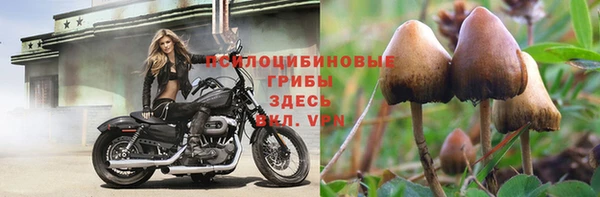 кокс Аркадак